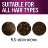 Schwarzkopf Keratin Color Permanent Hair Color, 5.3 Berry Brown, 1 Application - Salon Inspired Permanent Hair Dye, for up to 80% Less Breakage vs Untreated Hair and up to 100% Gray Coverage