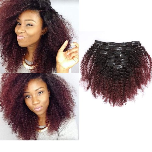 Anrosa Kinkys Curly Clip in Hair Extensions Human Hair 3C 4A Afro Kinky Curly Clip ins Natural Hair Real Remy Thick Human Hair Extensions for Black Women (14 inch, Ombre #1B/99J)