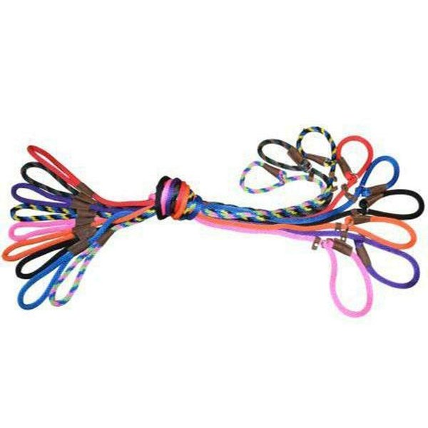 Warner Braided Nylon Rope British Slip Lead Dog Leash 1/2" X 6 Ft. (Orange)