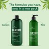 Botanic Hearth Tea Tree Shampoo, Vitamin C, Peppermint, Lavender and Rosemary Oil, Fights Dandruff and Dry Scalp, 16 fl oz