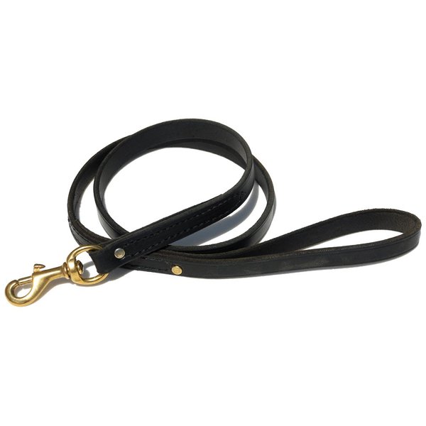 Ray Allen Mfg Signature K9 Standard Leather Leash, 4-Feet x 3/4-Inch, Black