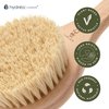 Hydrea London Dry Body Brush – Premium Exfoliating Dry Skin Brush Cactus Bristle, Vegan Dry Brush Cellulite Remover, Exfoliating Body Scrubber for Lymphatic Drainage, FSC® Certified Beechwood