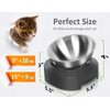 AYADA Raised Cat Food Bowl, Stainless Steel Cat Dish for Food Water Anti Vomiting Elevated with Stand Ergonomic Lifted Slanted Tilted 15 Angle Metal Single Kitty Kitten Wet Food Bowl Pet Bowl (Single)