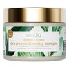 ALODIA Nourish & Hydrate Deep Conditioning Masque - 12 oz - Revitalizing Deep Conditioning Hair Mask with Avocado Oil & Peppermint Oil - Curly Hair Deep Conditioner Mask for Scalp & Hair Health