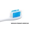 Lingito Travel Toothbrush, On The Go Folding Feature, Medium Bristle Brushes (3 Pack Medium-Multicolor)