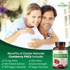 Zazzee Cranberry PACs, 72 mg PACs per Capsule, 2X Strength, 100% Soluble, 120 Vegan Capsules, 50:1 Extract, 18,200 mg Strength, Fast-Acting, Effective Urinary Tract UTI Support, Made in The USA
