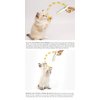 Petme Tender New Interactive Cat Feather Bordom Ball Toy Upgraded Cat Toy