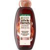 Garnier Whole Blends Shampoo with Coconut Oil & Cocoa Butter Extracts, 22 Fl Oz (1 Count)