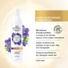 BIOTERA Ultra Moisturizing Conditioner | Hydrates Dry, Damaged, Coarse Hair | Microbiome Friendly | Vegan & Cruelty Free | Paraben & Sulfate Free | Color-Safe | 15.2 Fl Oz