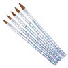 FULINJOY 5 Pcs Nail Art Brush, Acrylic UV Gel Glitter Drawing Painting Brushes Crystal Handle Nylon Hair Carving Flower Pens Nails Tools
