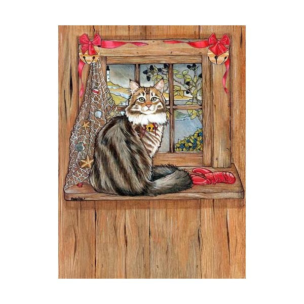 Pipsqueak Maine Coon Cat Christmas Cards : 10 Holiday Cards with Red Envelopes - ADORABLE!