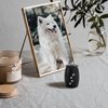 LINES ARTE Pet Urns for Dogs Ashes Small, 2.7x1.7Inch Black Aluminum Dog/Cat Urn for Ashes Small, Keepsake Pet Urns for Cats