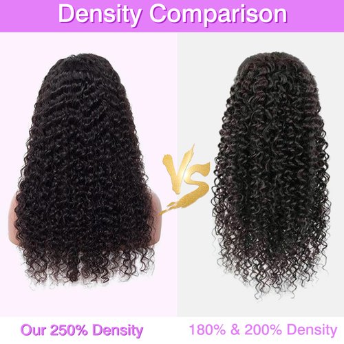 GARAXIS 250% Density 13X6 Deep Wave Lace Front Wigs Human Hair Curly Human Hair Wig Wet and Wavy HD Lace Front Wig Human Hair Pre Plucked Frontal Wigs Human Hair 22 Inch