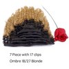 Loxxy Kinky Curly Clip In Hair 4B 4C Natural Hair Clip Ins Afro Kinky Curly Clip In Hair Extensions Virgin Clip In Hair Extensions Human Hair For Black Women Big Volume Thick Kinky Hair # 1b/27 16Inch