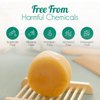 BeNat All-Natural Shampoo & Conditioner Bars Bundle Sulfate Free Lavender & Hair Conditioner Bar Nourishes Your Follicles with Antioxidants to Support Healthy Hair Plastic-Free