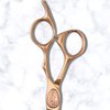 Gold Hair Scissors for Professional Hairdressers - 6 Inch Saki Shears Ikigai Gold Hair Shears - 440C Steel - Razor Sharp Cutting, Durable
