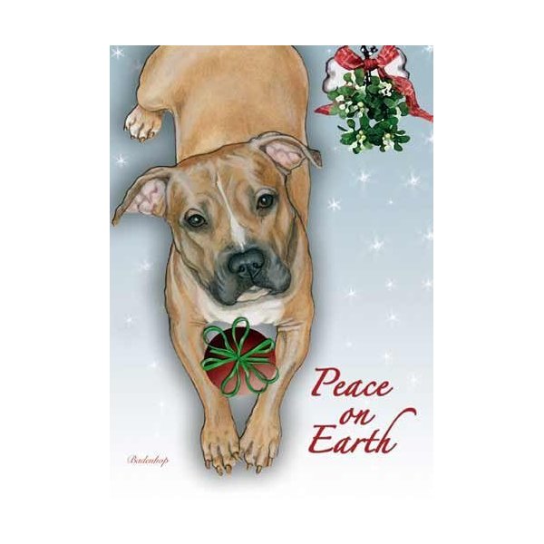 Pit Bull Christmas Cards Set of 10 cards & 10 envelopes