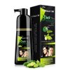 No-Stain Hair Dye Shampoo for Men & Women, No-Stain on Skin & Scalp, Natural Ingredients, Ammonia & Parabens-Free, Up to 100% Gray Coverage, Easy No-Mix Application, 200 mL, Pack of 1 (Natural Black)