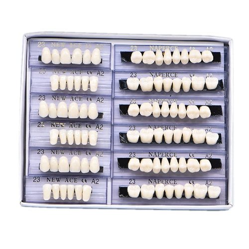 RZJZGZ 168 Pcs Dental Synthetic Resin Tooth Denture Temporary False Teeth 6 Sets False Teeth 23 A2