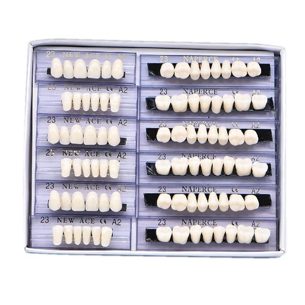 RZJZGZ 168 Pcs Dental Synthetic Resin Tooth Denture Temporary False Teeth 6 Sets False Teeth 23 A2