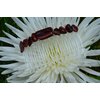 Red Tiger's Eye Stone Hair Comb