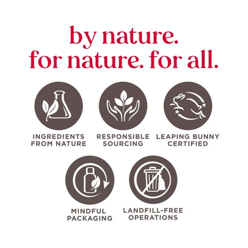 Burt's Bees Mistletoe Kiss Gift - Red (Vanilla Bean)