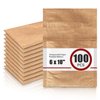 Kraft Mailers, 6 x 10 inch 100pcs Padded Envelopes, Kraft Small Honeycomb Paper Poly Mailers for Shipping and Packaging, Reusable Padded Mailing Envelopes with Twice Self-Sealing, Brown