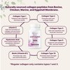 Micro Ingredients Multi Collagen Pills for Women & Men, 240 Capsules | Type I, II, III, V, X - Hydrolyzed Collagen Peptides with Biotin, Hyaluronic Acid & Vitamin C | Hair, Skin, Nail & Joint Support