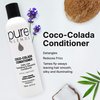 Pure Blends Coco-Colada Conditioner Daily Use Moisturizing Conditioner Neutral-No Color Conditioner For In Between Color Depositing Washes Balances Color & Repairs Dry, Damaged Hair 8.5 Oz.