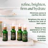Tree of Life Advanced Regimen - Niacinamide Serum (Refine) + Vitamin C Serum (Brightens) + Retinol Serum (Smooths) + Hyaluronic Acid Serum (Hydrates) - Face Serums - 4ct x 1 Fl Oz