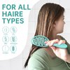 Daily Gard Detangling Brush, Dry and Wet Vented Detangler Hair Brush for Women and Men, Paddle Quick Drying Hairbrush for Wet/Dry/Curly/Thick/Long/Wavy/Damaged Hair, Green