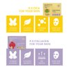 PRESENT SKIN Vegan Sheet Mask 12 Combo (Pack of 12), Korean Facial Mask Sheet Skincare, Moisturizing, Soothing, Anti-aging, Regenerating Facial mask, Beauty Mask For All Skin Type