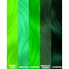 Lunar Tides Semi-Permanent Hair Color (43 colors) (Aurora Green)