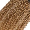 20 22 24 Inch T4/27 Bundles Human Hair Ombre Kinky Curly Bundles Honey Blonde Human Hair Bundles 2 Tone Brown and Honey Blonde Bundles Brazilian Grade 8A Virgin Human Hair Extensions