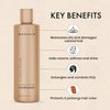 MOEHAIR Color Alive Conditioner (12 Fl. Oz), Hydrating & Nourishing Conditioner for Color Treated Hair | Reduces Scalp Dryness | Preserves Hair color | Paraben & Sulfate Free
