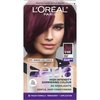 L'Oreal Paris Feria Multi-Faceted Shimmering Permanent Hair Color Hair Dye, V48 Violet Vixen (Intense Medium Violet)