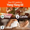 H'ana Ylang-Ylang Essential Oil for Diffuser- 100% Pure and Natural Therapeutic Grade Ylang Ylang Essential Oil for Skin - Ylang Ylang Oil for Hair Growth & Aromatherapy (1.02 fl oz)
