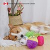 HugSmart | Hide and Seek Dog Toys (3-Pack Vegetables) | Interactive, Squeaky, Soft Plus, Crinkly Dog Toy for Small Medium Breeds (Yam, Bok Choy Radish)