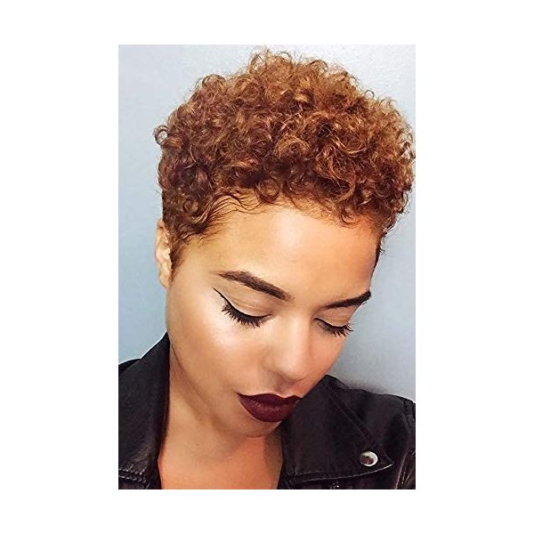 BeiSD Short Afro Kinky Curly Haircuts Short Afro Curly Synthetic Wigs for Black Women African American Women Wigs (YB1091-30#)