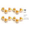 Nurse Rubber Ducks | 12 Pack | Party Favors Nurse Appreciation | Nursing Student Gifts