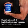 Orgain Creatine Monohydrate Micronized Powder, Unflavored, Supports Muscle Growth, Post Workout Recovery and Brain Health, No Artifical Additives, Non-GMO, 100 Servings, 17.64 Oz