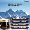 scash Direct Discounts Premium Shilajit Pure Himalayan Organic shilajit Supplement Shilajit Resin Lab Report with Fulvic Acid & Trace Minerals 85+ Humic Acid 0.7 Ounce