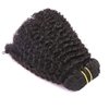 Anrosa 8A Grade Afro Kinkys Curly Clip ins Natural 3C 4A Hair for African American Black Women Real Remy Hair Kinkys Curly Clip in Hair Extensions Human Hair 1B Natural Black Thick 120 Gram 12 Inch
