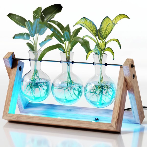 Light Up Bamboo Air Planter - Plant Lover Gifts for Women, Unique Easter Gift, Best Indoor Gardening Housewarming Office Home Decor, Mom, Grandma, Her, Sister, Friend, Birthday, Garden Terrarium