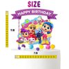 True and the Rainbow Kingdom Cake Topper For Cartoon Birthday Party Decorations