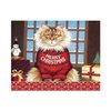 LANG SQUEAKY'S CHRISTMAS BOXED CHRISTMAS CARDS (1004804)