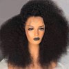 Skouty 24 Inch Afro Kinky Curly Human Hair Wig 13x4 HD Lace Front Wigs 180 Density Glueless Wigs Human Hair Pre Plucked Brazilian Kinky Curly Lace Frontal Wigs for Black Women Virgin Human Hair