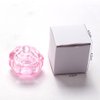 GBSTORE 2 Pcs Glass Crystal Cup with Lid,Nail Art Acrylic Liquid Powder Dappen Dish Cups Bowl Glassware Tools,Pink