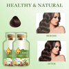 Natural Plant Hair Dye 20ml 10Packs/Box, Natural Plant Hair Dye, New Botanical Bubble Hair Dye(Chestnut Brown)