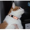 Upgraded Version - Reflective Cat Collar with Bell, Set of 6, Solid & Safe Collars for Cats, Nylon, Mixed Colors, Pet Collar, Breakaway Cat Collar Charms, Free Replacement